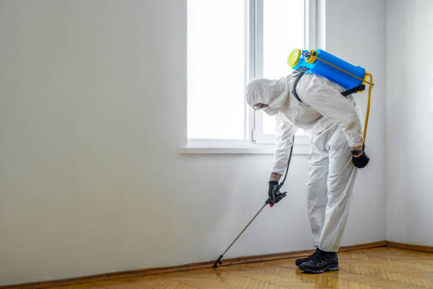 Best Pest Removal Services  in Sewalls Point, FL